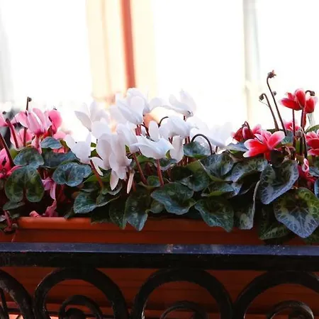De Nittis Bed & Breakfast 2*