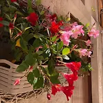 Bed & Breakfast De Nittis Barletta