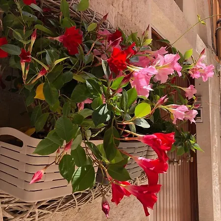 Bed & Breakfast De Nittis Barletta