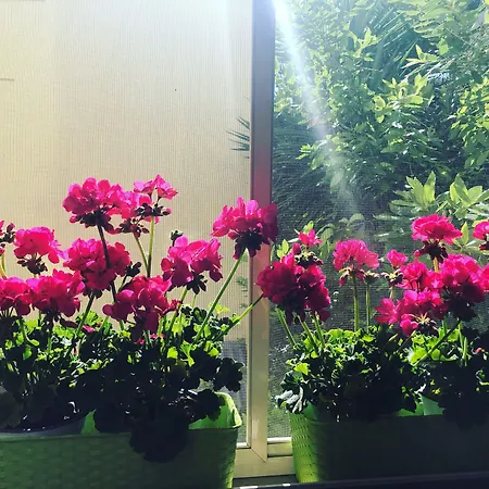 De Nittis Panzió Barletta